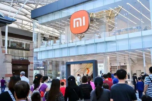 Q3小米未能逆天改命 代驾服务背后的深层思考